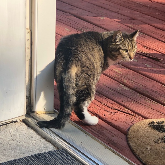 Meet your Posher, Erin - Picture 6 of 6